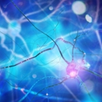 Paving the way for precision medicine through novel neurogenetics research