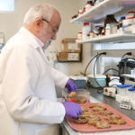 Mesulam Supporters Propel Innovative Dementia Research and Programs