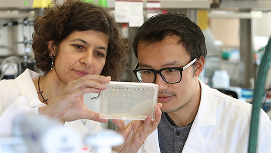 Two Northwestern scientists work in lab